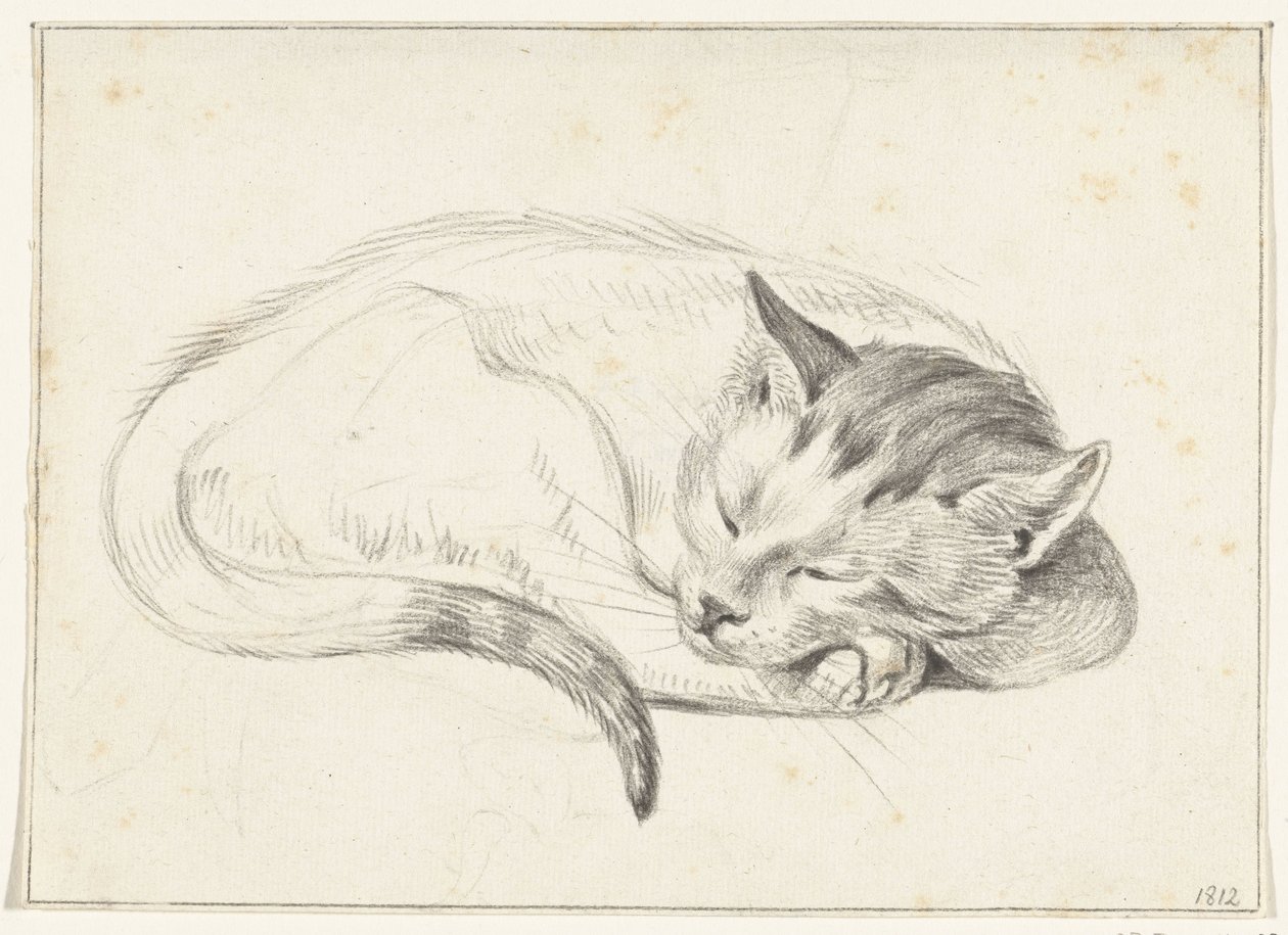 Sammenkrøllet, sovende katt av Jean Bernard