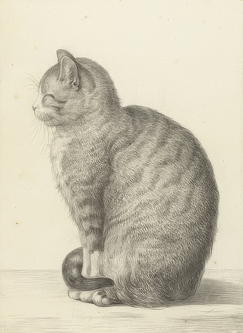 Sittende katt, til venstre. 1815 av Jean Bernard