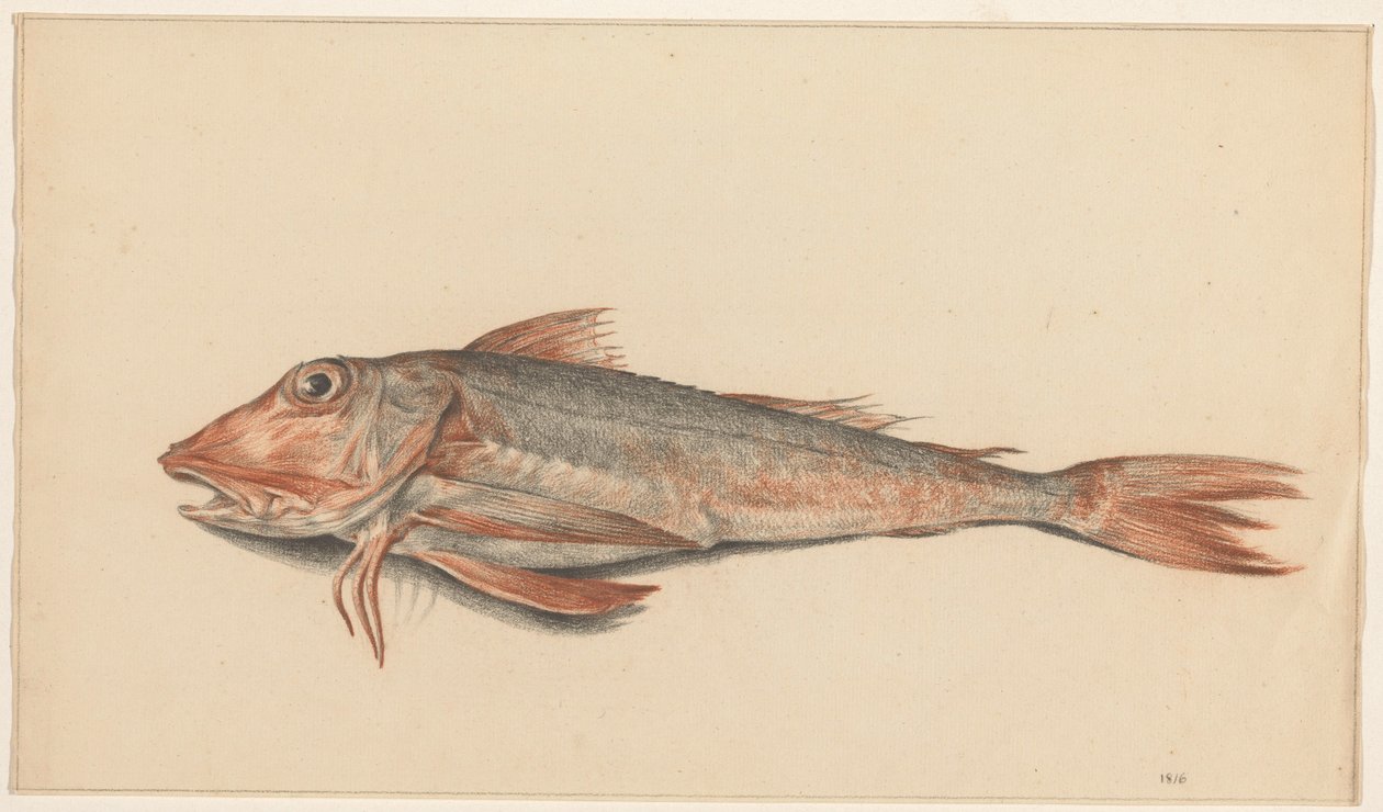 Vis av Jean Bernard
