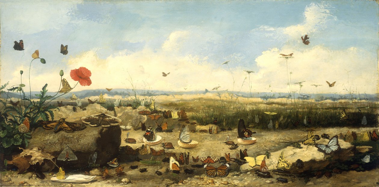 The Race of the Butterflies, 1872 av Jean Eugene Doneaud