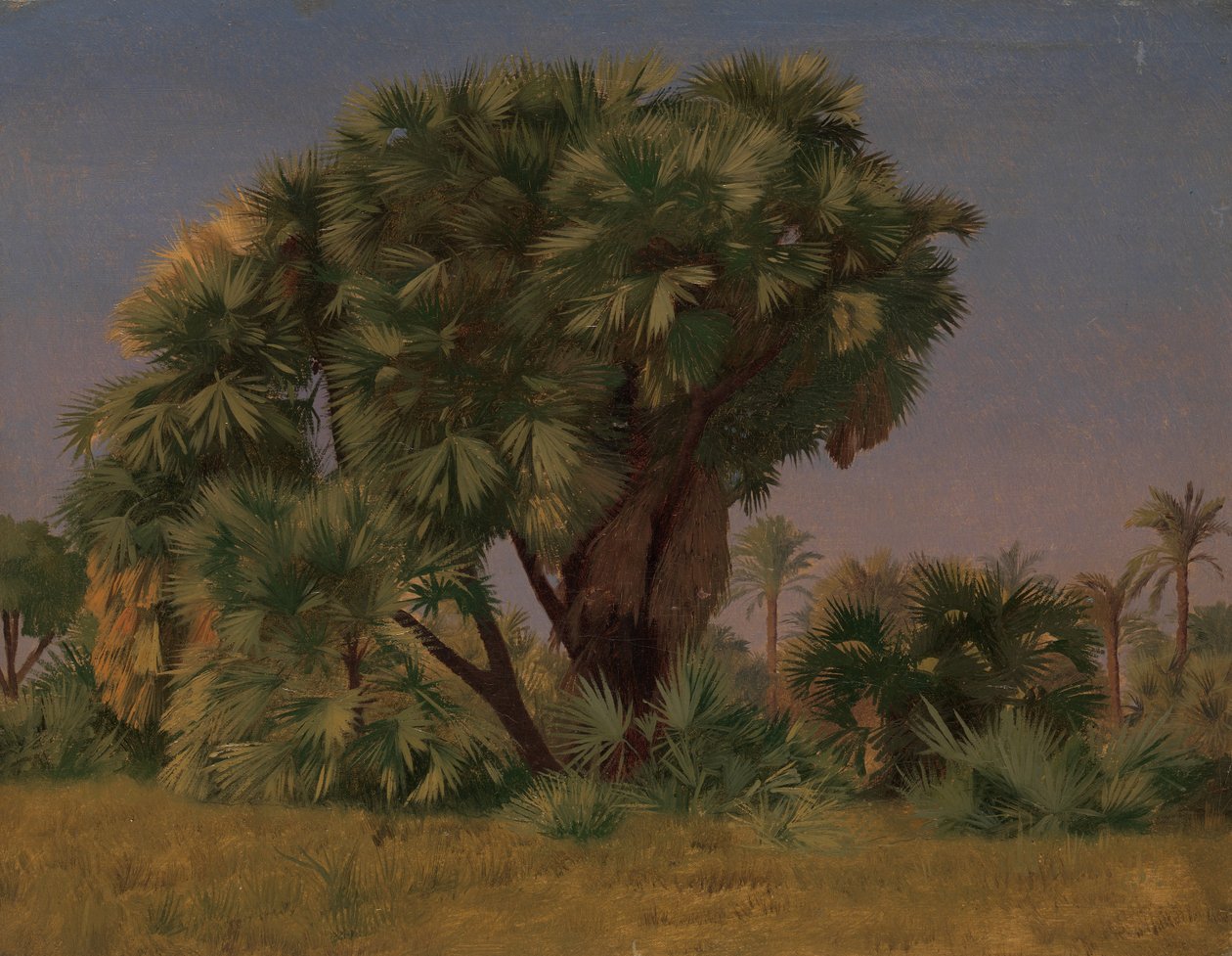 Studie av palmetrær, sannsynligvis 1868. av Jean Leon Gerome
