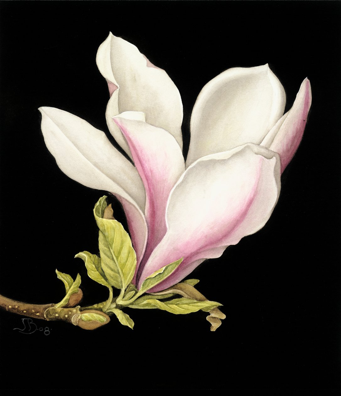 Magnolia av Jenny Barron