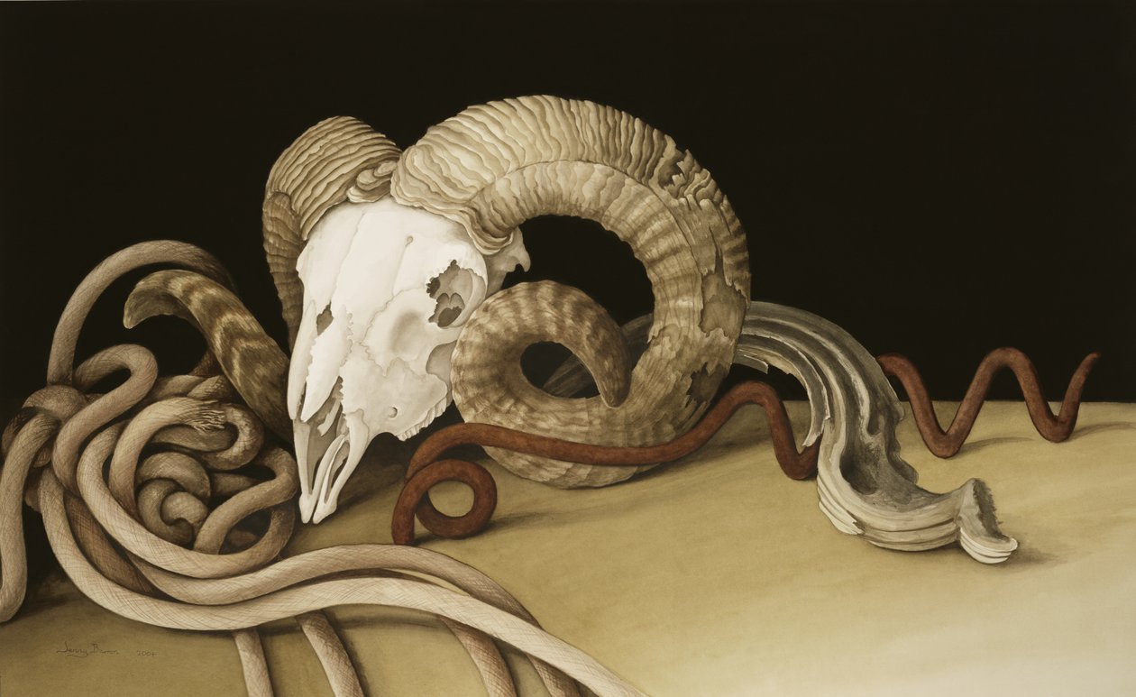 Vanitas, 2004 (wc på papir) av Jenny Barron