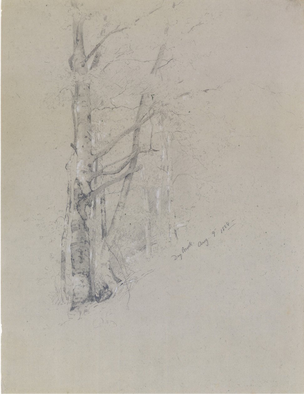 Dry Brook, 1888. av Jervis McEntee