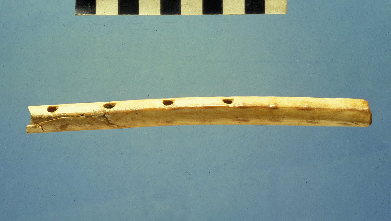 Fløyte, Davids by, ca. 799–600 f.Kr. (bein) av Jewish School