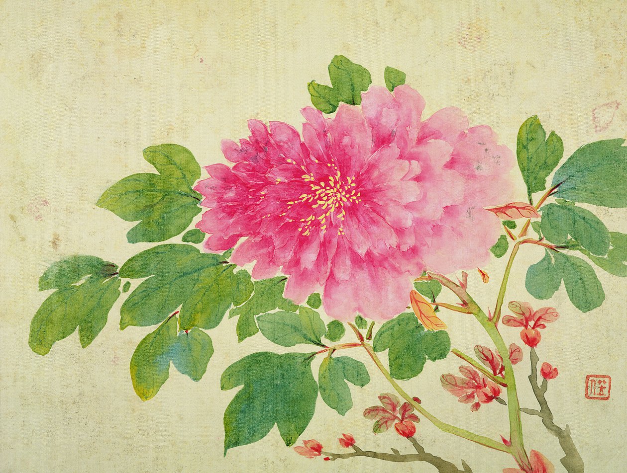 Painting of Peonies, fra Album of Paintings of Flowers, Fruits, Birds and Animals, ca. 1774 (wc på papir) av Jiang Yu