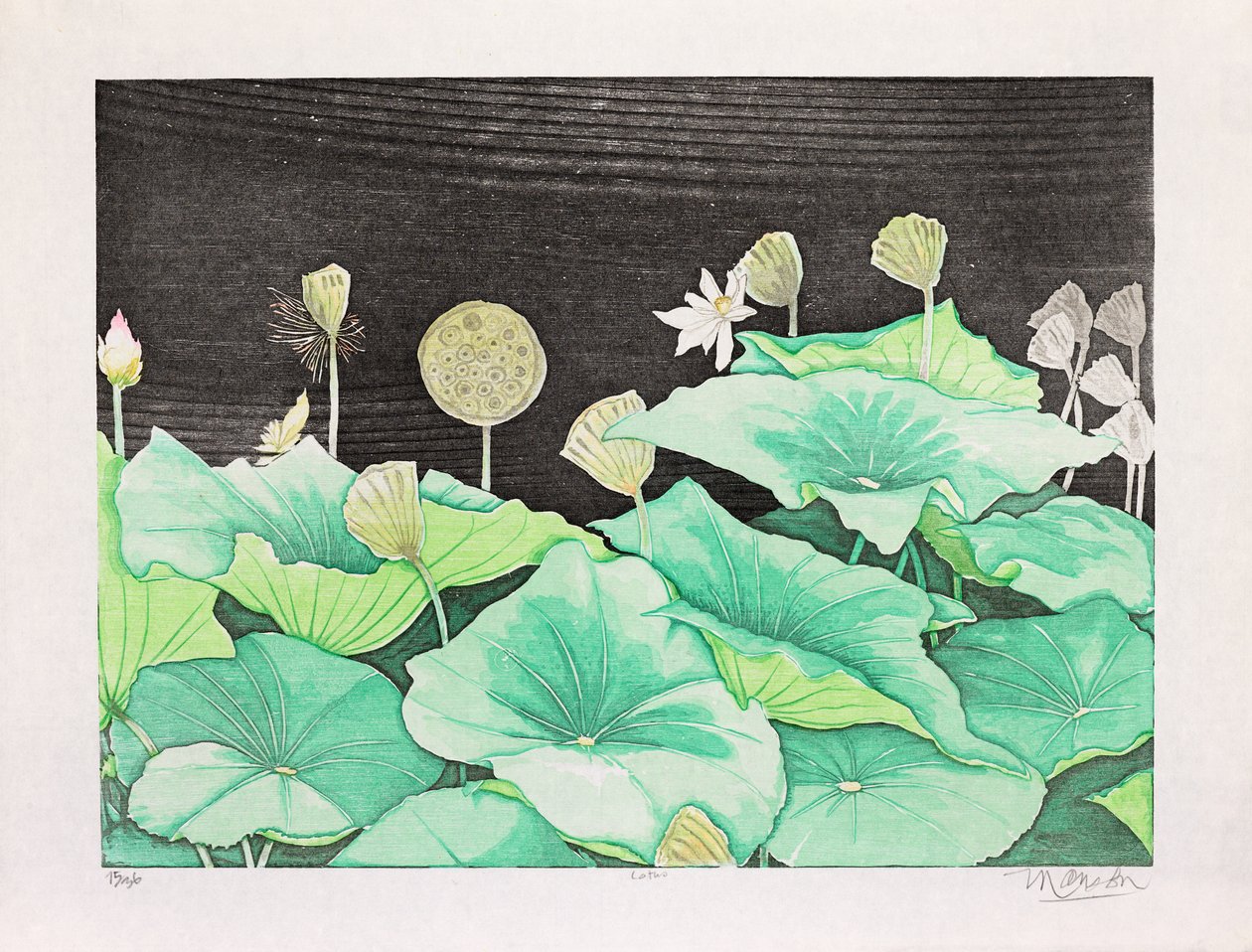 Lotus, 2016 (tresnitt) av Jim Monson