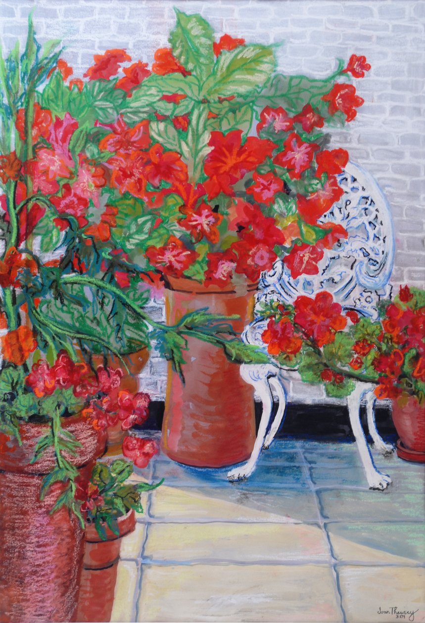 Pelargonier og petunia på terrassen, 2011, (Gouache på papir) av Joan Thewsey