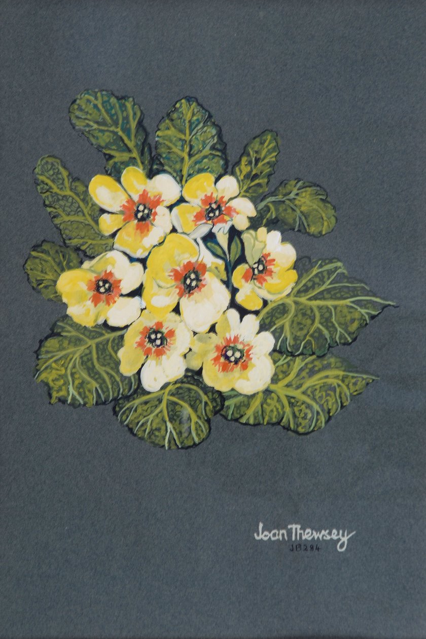 The Yellow Primrose 2012 (gouache på ingres-papir) av Joan Thewsey