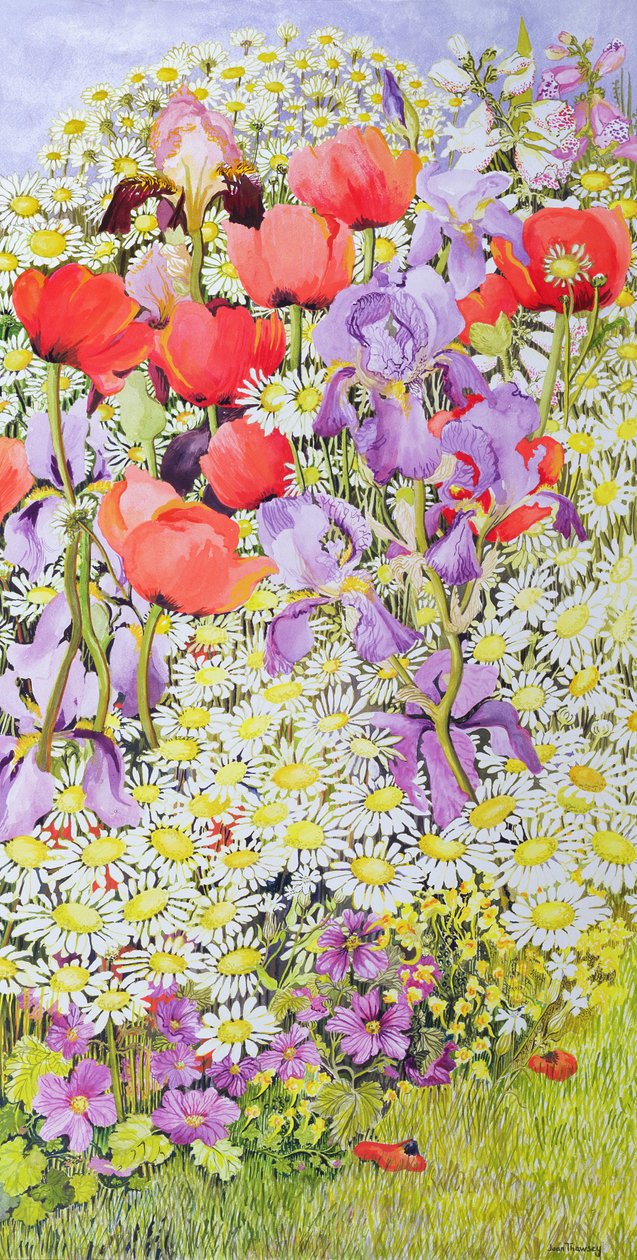 Wild Flower Conservation; Hagegrensen av Joan Thewsey