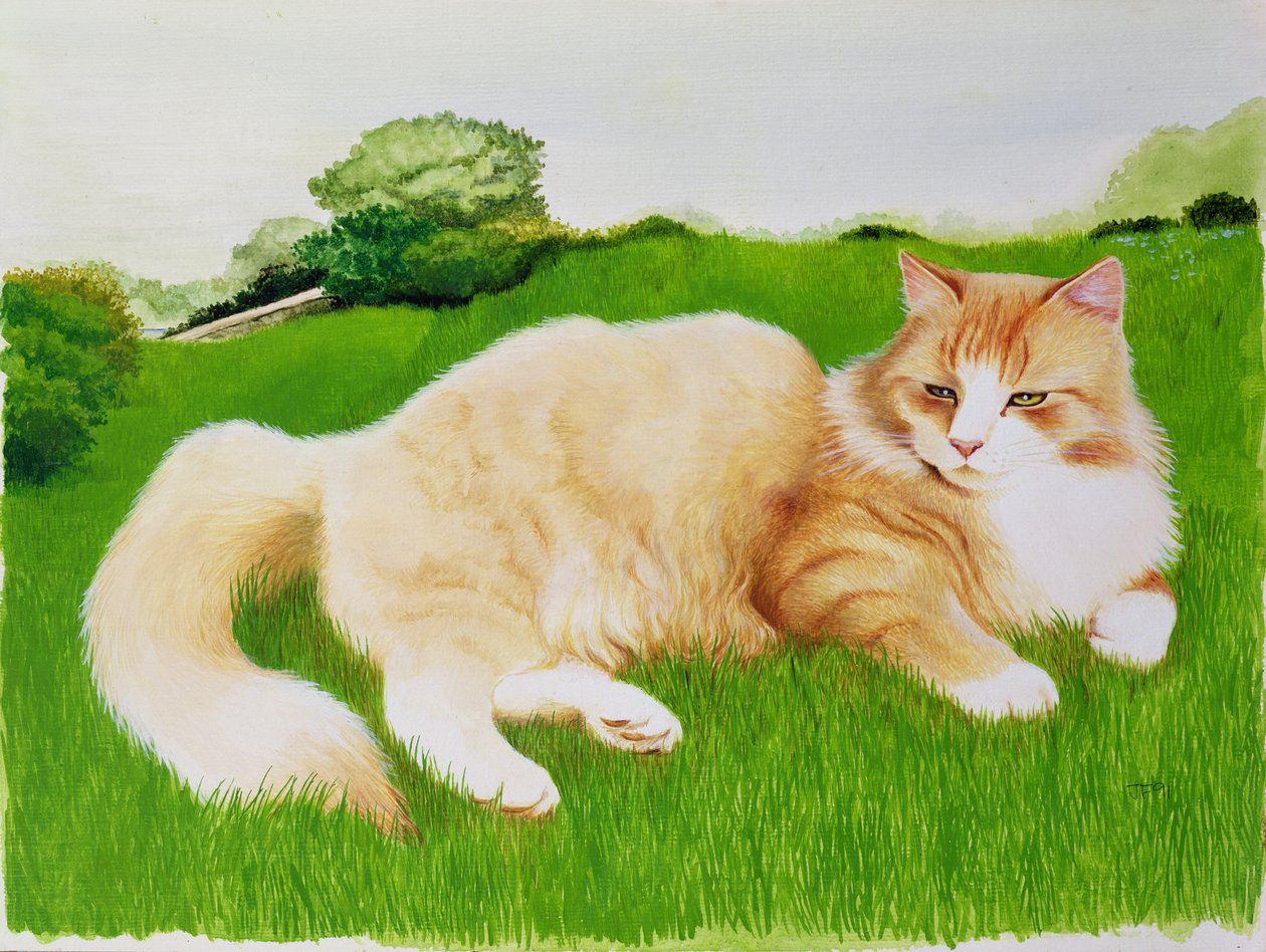 Ginger Cat in Field av Joan Freestone