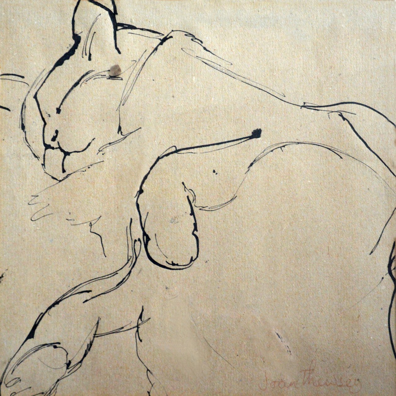 Cat, Mouser, 1980, (penn og blekk) av Joan Thewsey