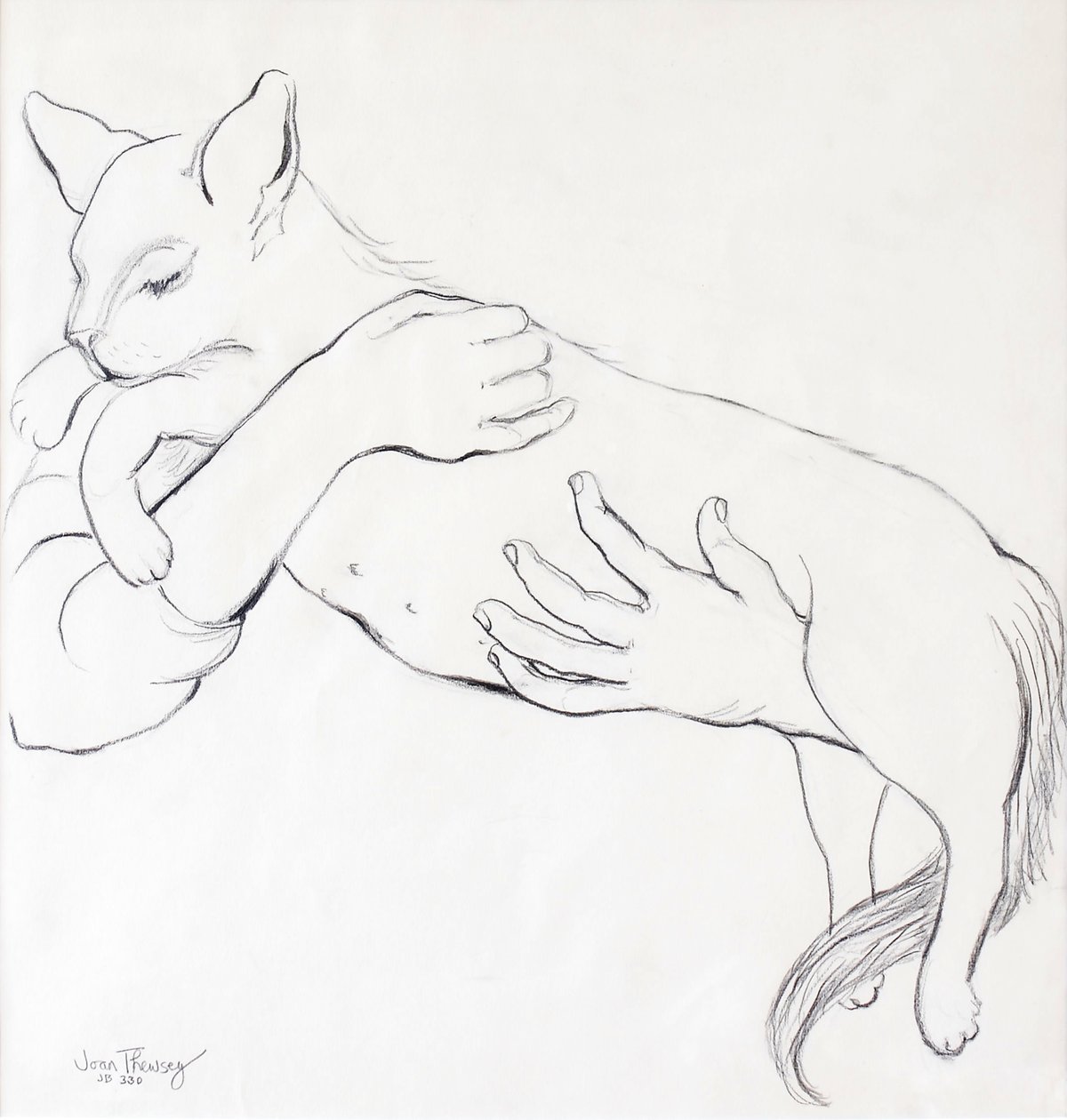 Cuddly Cat, 2000, (blyant) av Joan Thewsey