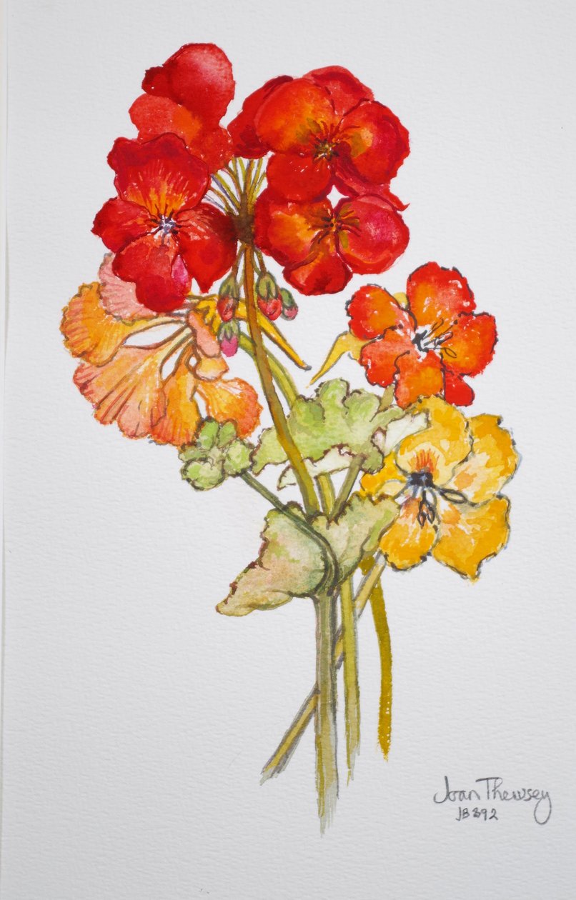 Geranium and Nasturtiums, 2014, akvarell av Joan Thewsey
