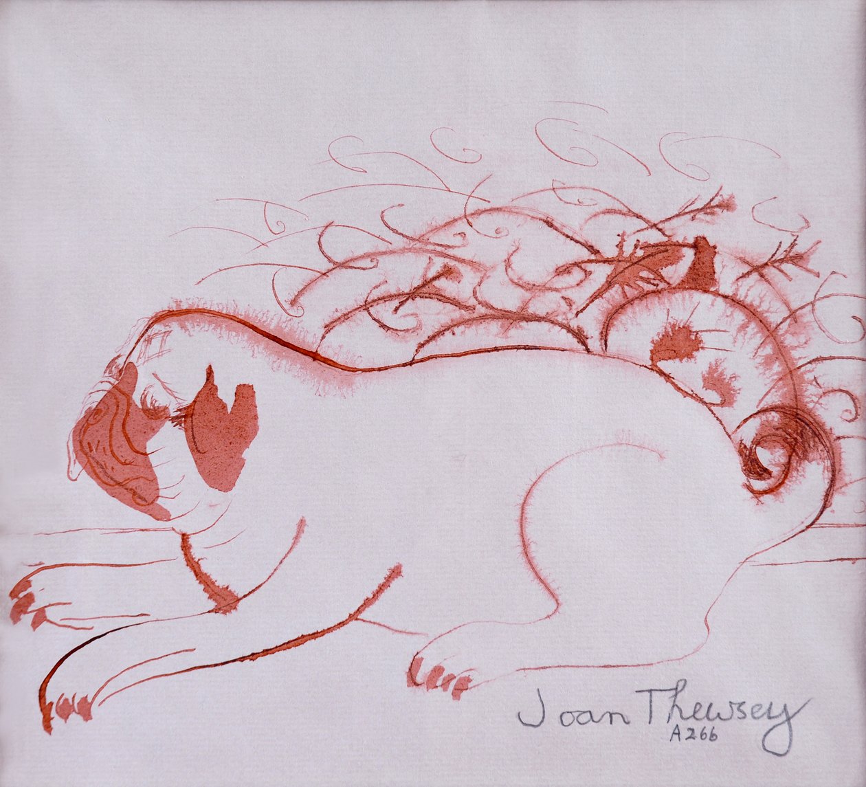 Pug Puppy 2,2005, (blekk på vått papir) av Joan Thewsey