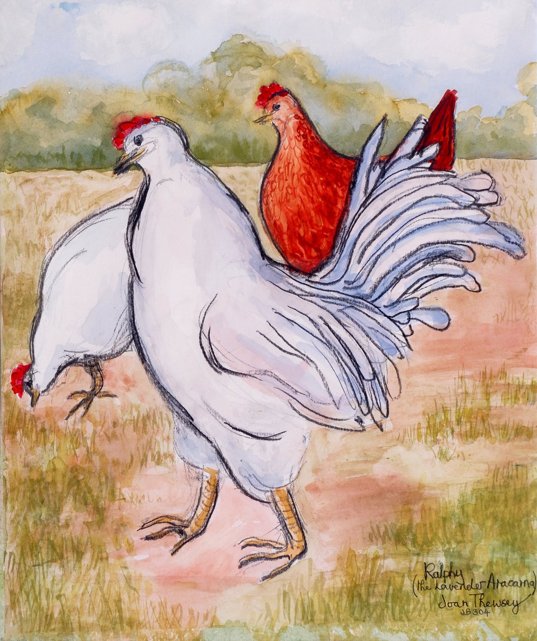 Ralfy, The Cockerel, 2005, (blyant og akvarell) av Joan Thewsey