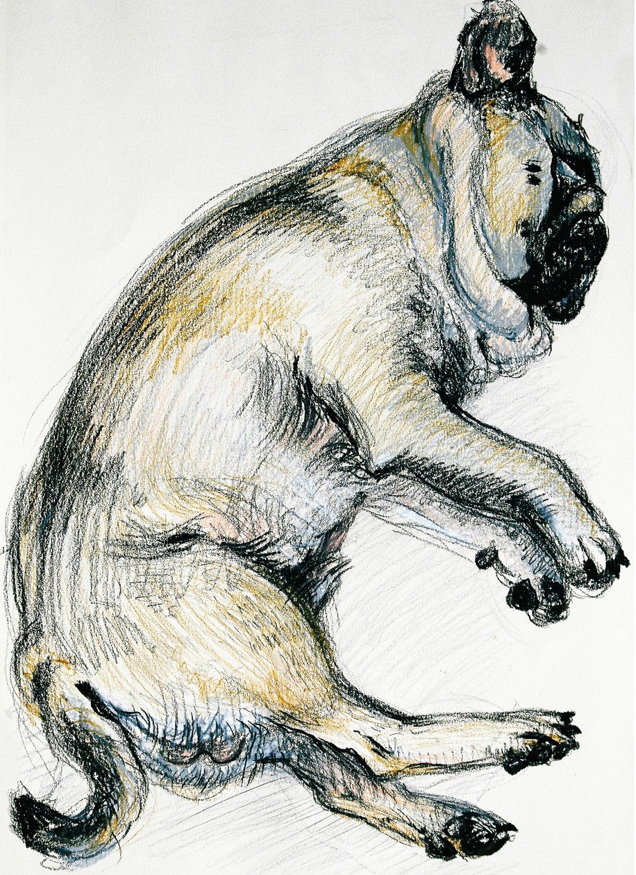 Sleeping Pug One, 2000, (oljepastell) av Joan Thewsey