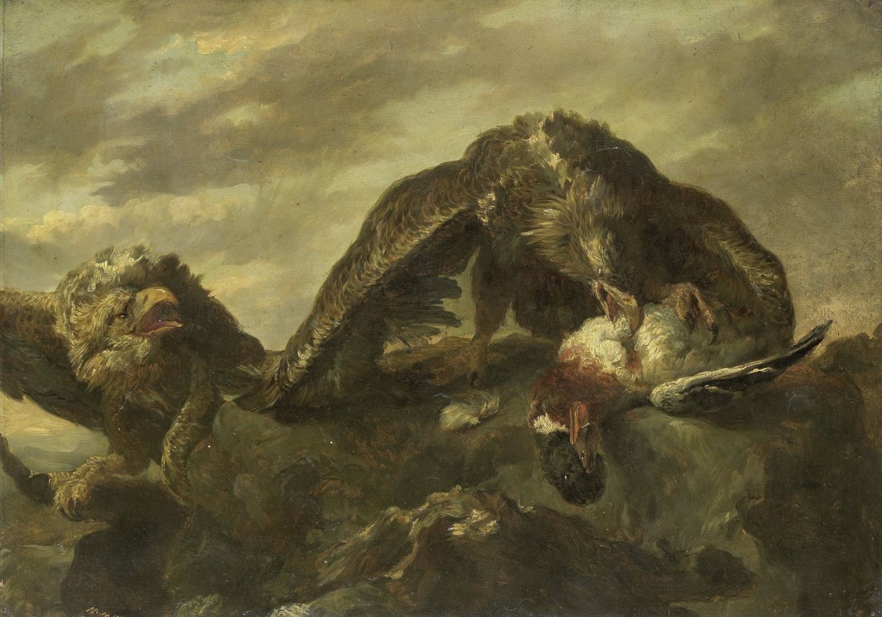 Ørne på klippene av Joannes Fijt (copy after)