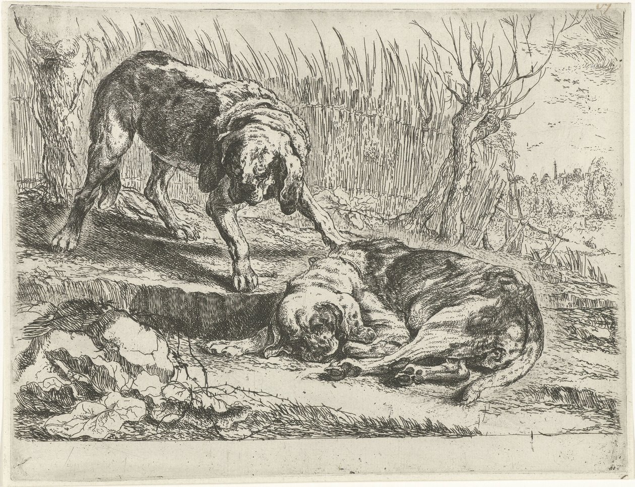 To hunder Hunder (serietittel) av Joannes Fijt