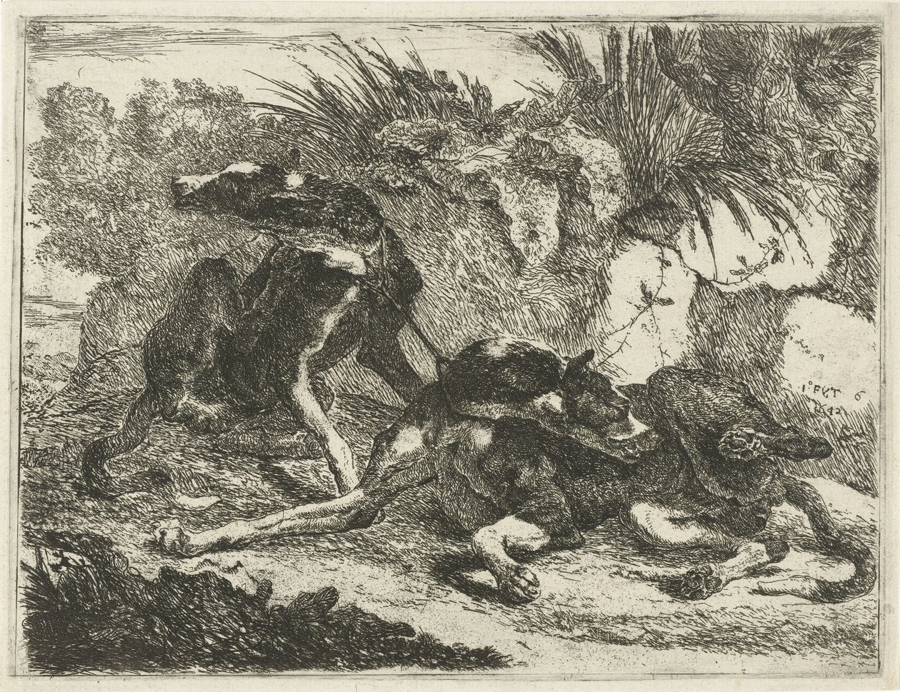 To hunder Hunder (serietittel) av Joannes Fijt