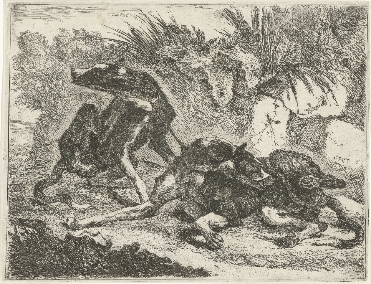 To hunder Hunder (serietittel) av Joannes Fijt