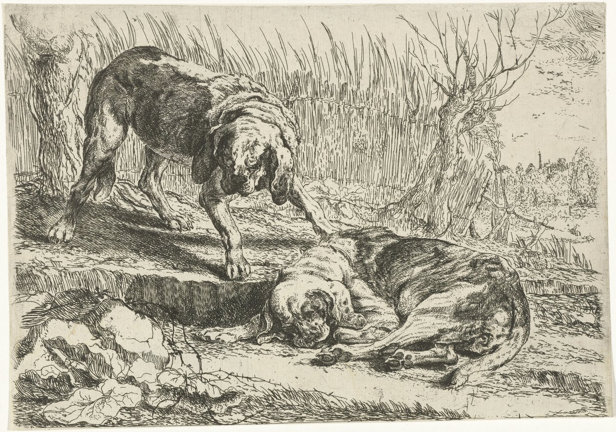 To hunder Hunder (serietittel) av Joannes Fijt