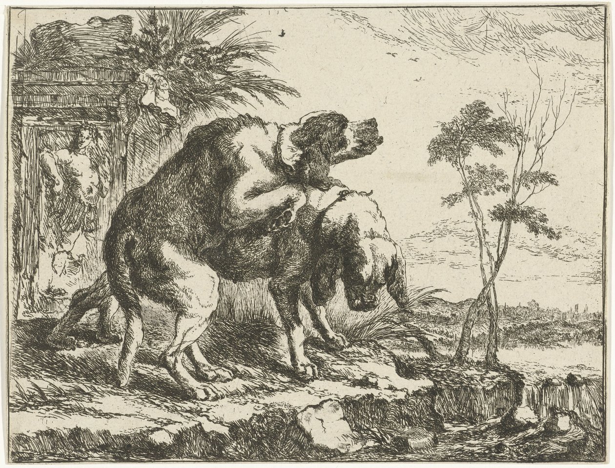 To parrende hunder Hunder (serietittel) av Joannes Fijt