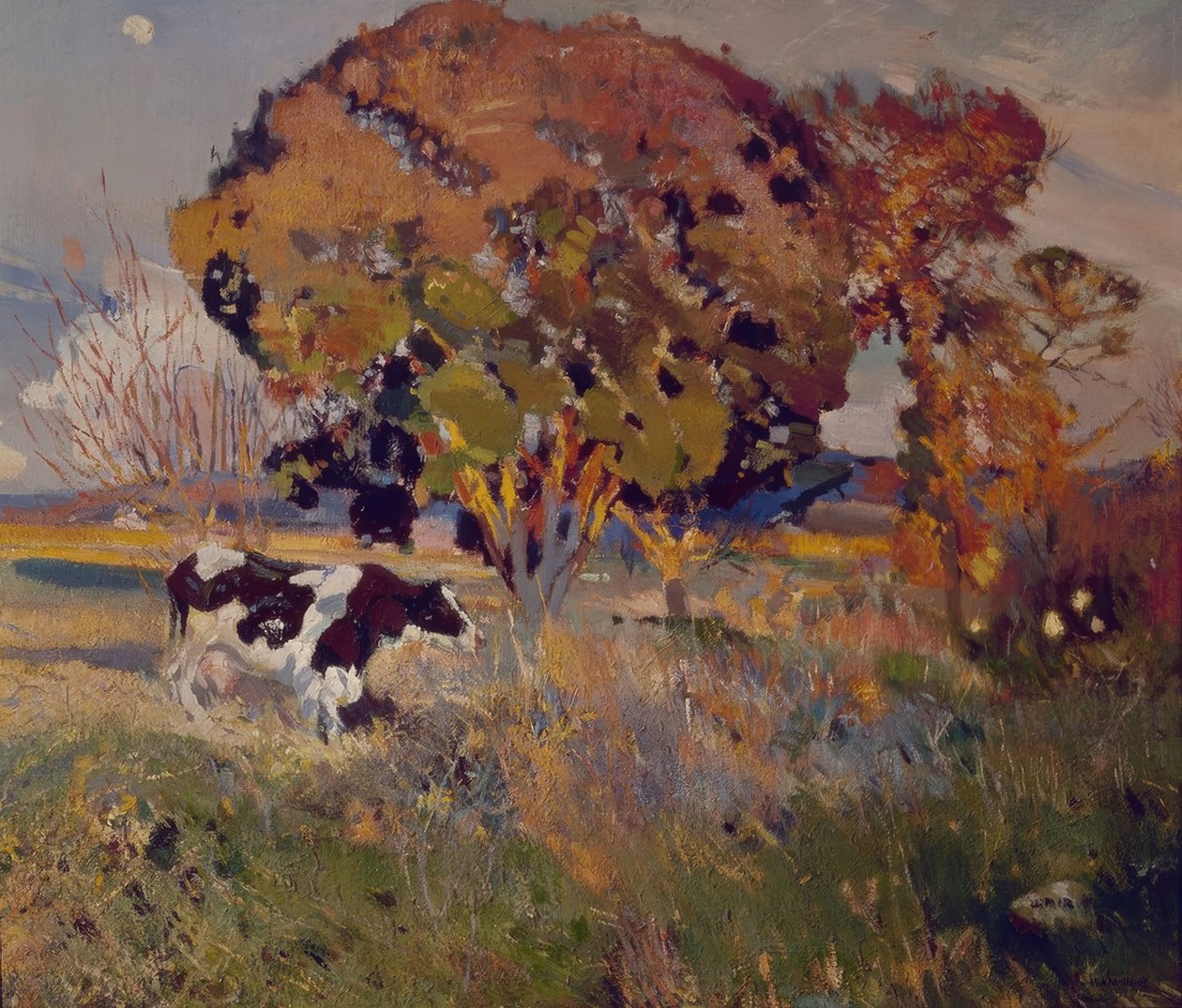 Kua og eika av Joaquim Mir i Trinxet