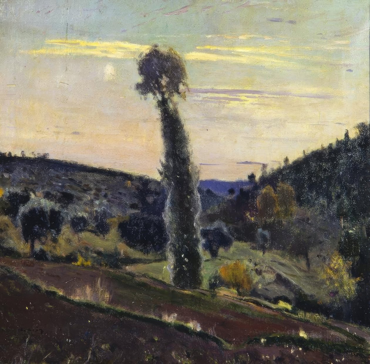 L’Alber av Joaquim Mir i Trinxet