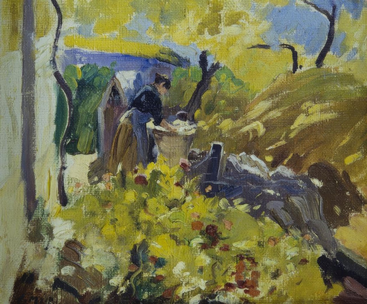 Vaskerier av Joaquim Mir i Trinxet