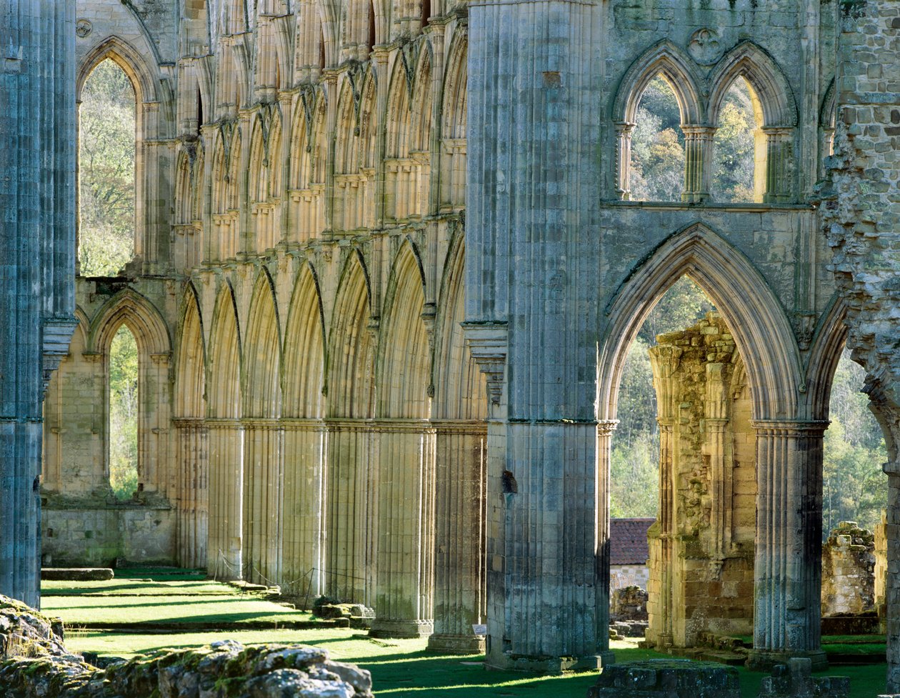 Rievaulx Abbey, c1990-2010 av Joe Cornish