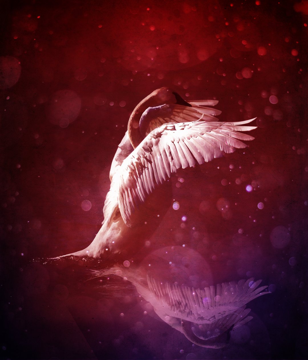 Bird Kingdom 7 (blodlinje) av Johan Lilja