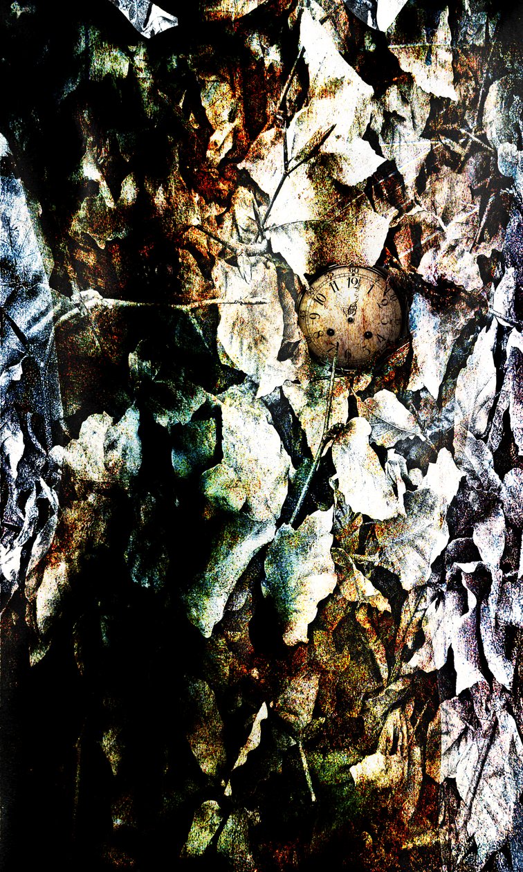Heart, 2012 (bildemanipulasjon) av Johan Lilja