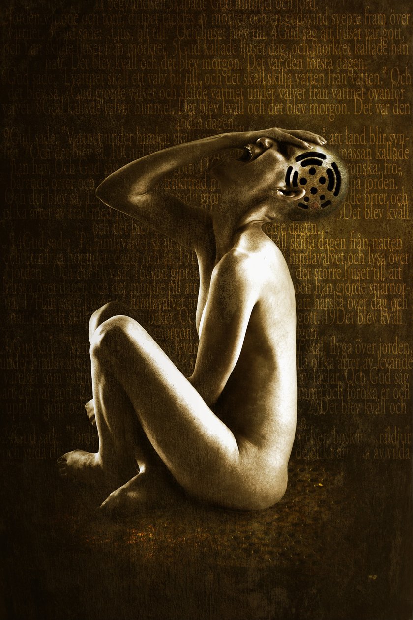 Scream, 2013 (bildemanipulasjon) av Johan Lilja