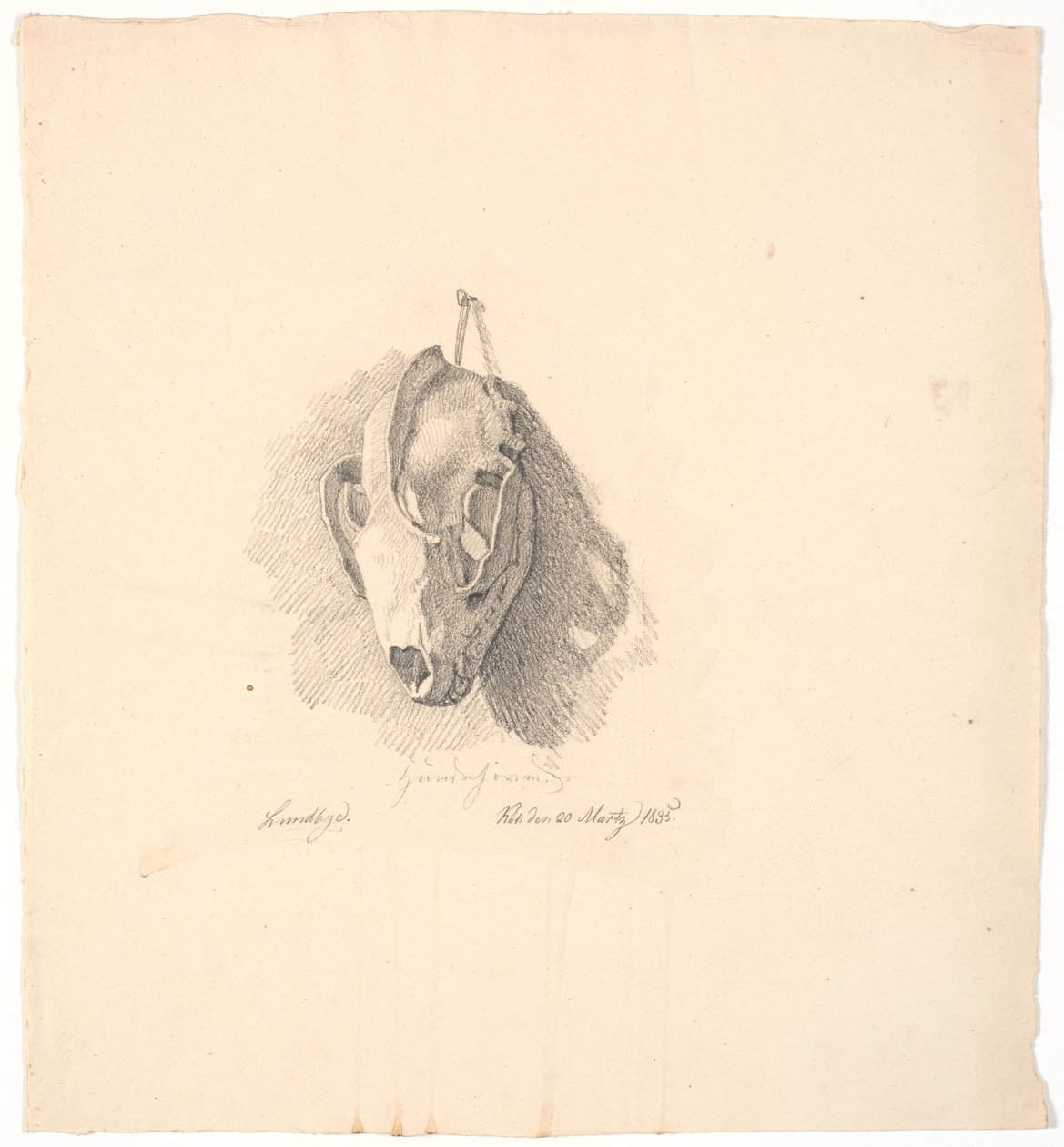 Hundekranium av Johan Thomas Lundbye