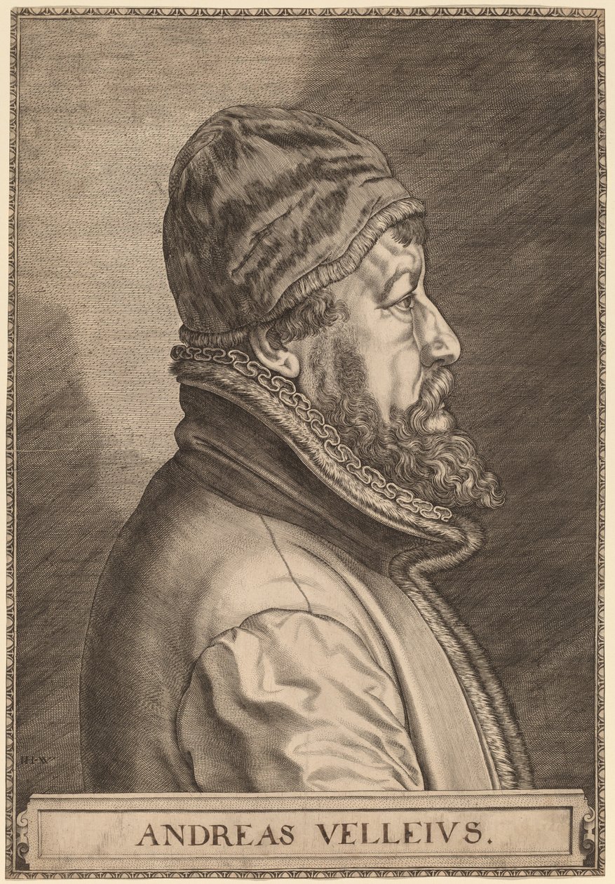 Andreas Velleius (Anders Sørensen Vedel) av Johan Wierix
