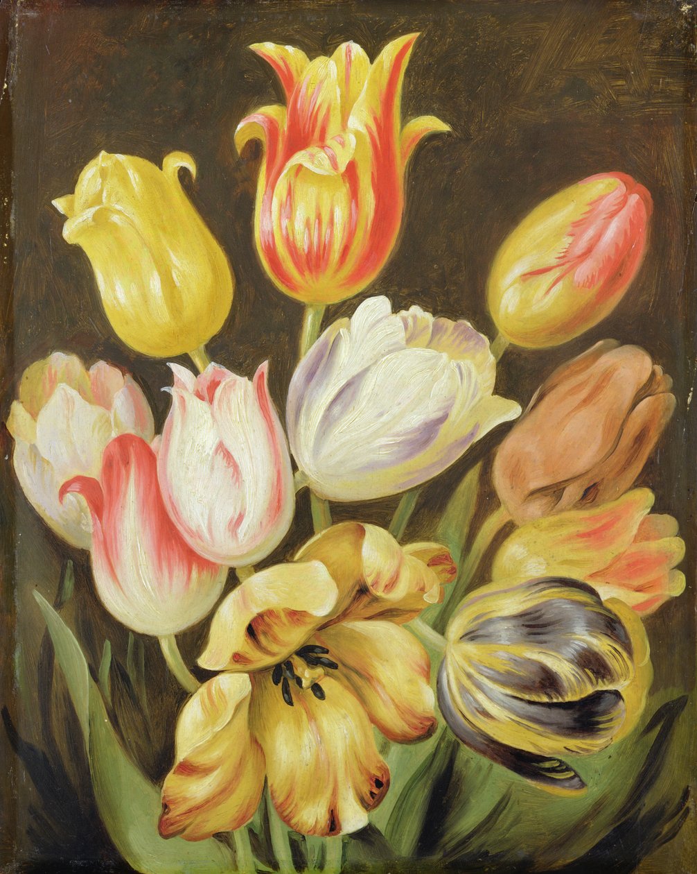 Blomsterstudie av Johann Friedrich August Tischbein