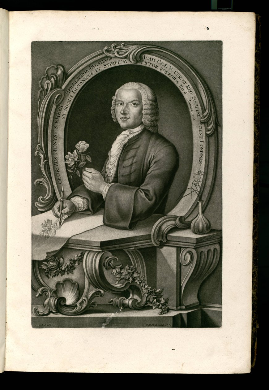 George Dionysius Ehret av Johann Jakob Haid