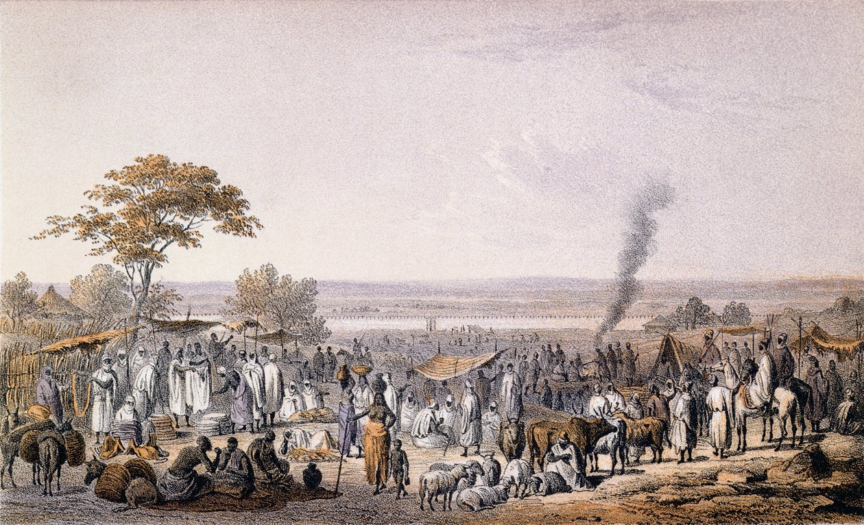 Markedet i Sokoto i 1853, fra 