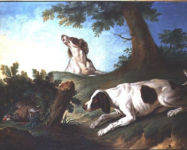 Spaniels setter opp en rapphøne av Johann Michael Baader