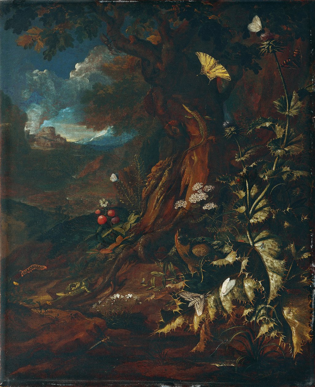 Landskap med krypdyr og insekter (I) av Johann Adalbert Angermayer