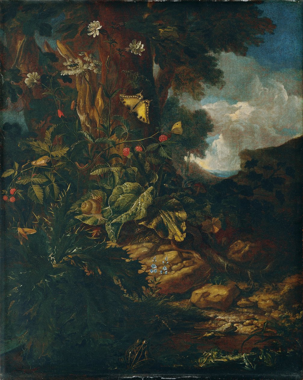 Landskap med krypdyr og insekter (II) av Johann Adalbert Angermayer