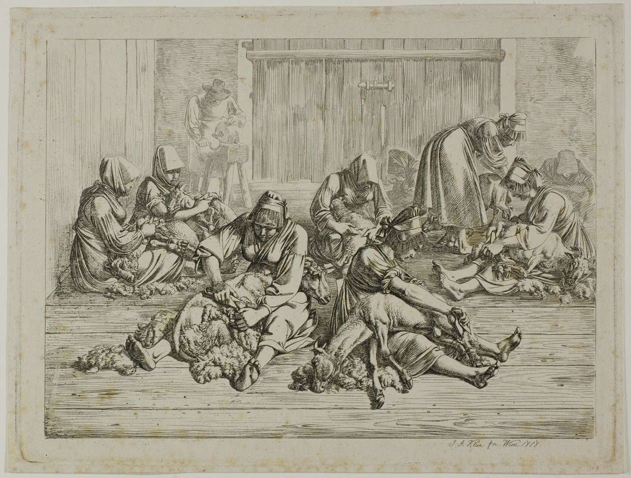 Saueklipping av Johann Adam Klein