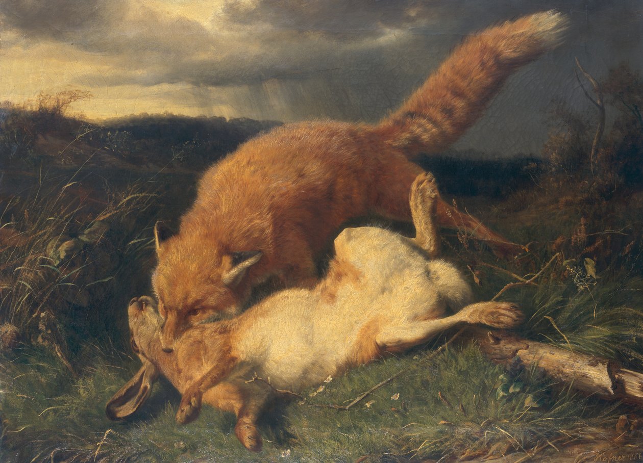 rev og hare av Johann Baptist Hofner