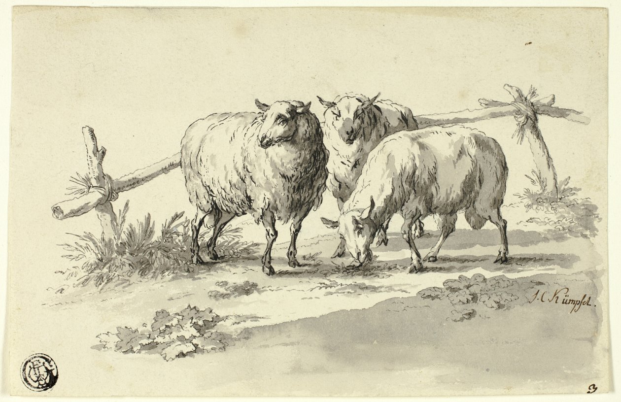 Sau av Johann Christoph Kimpfel