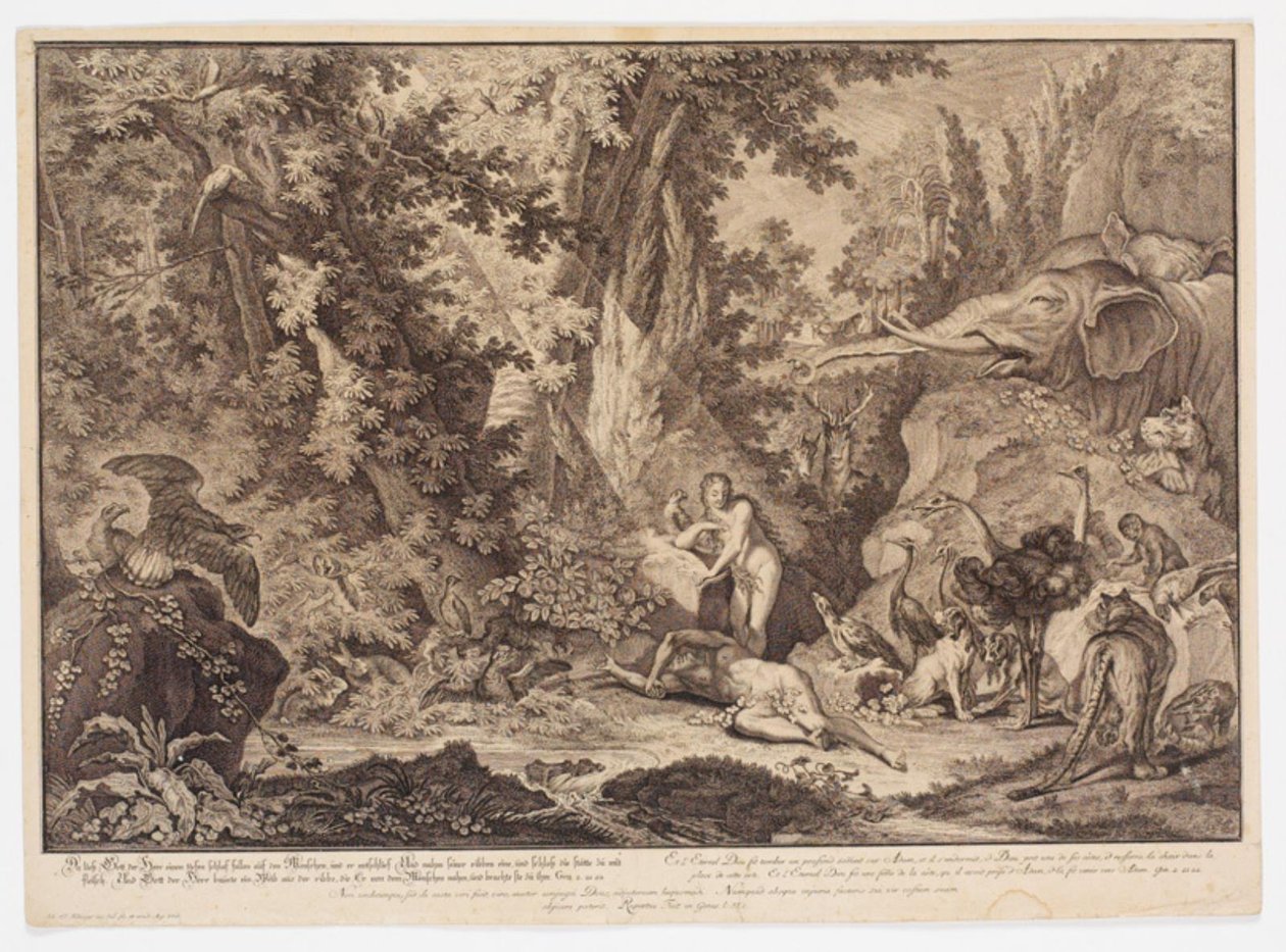 Evas skapelse av Johann Elias Ridinger