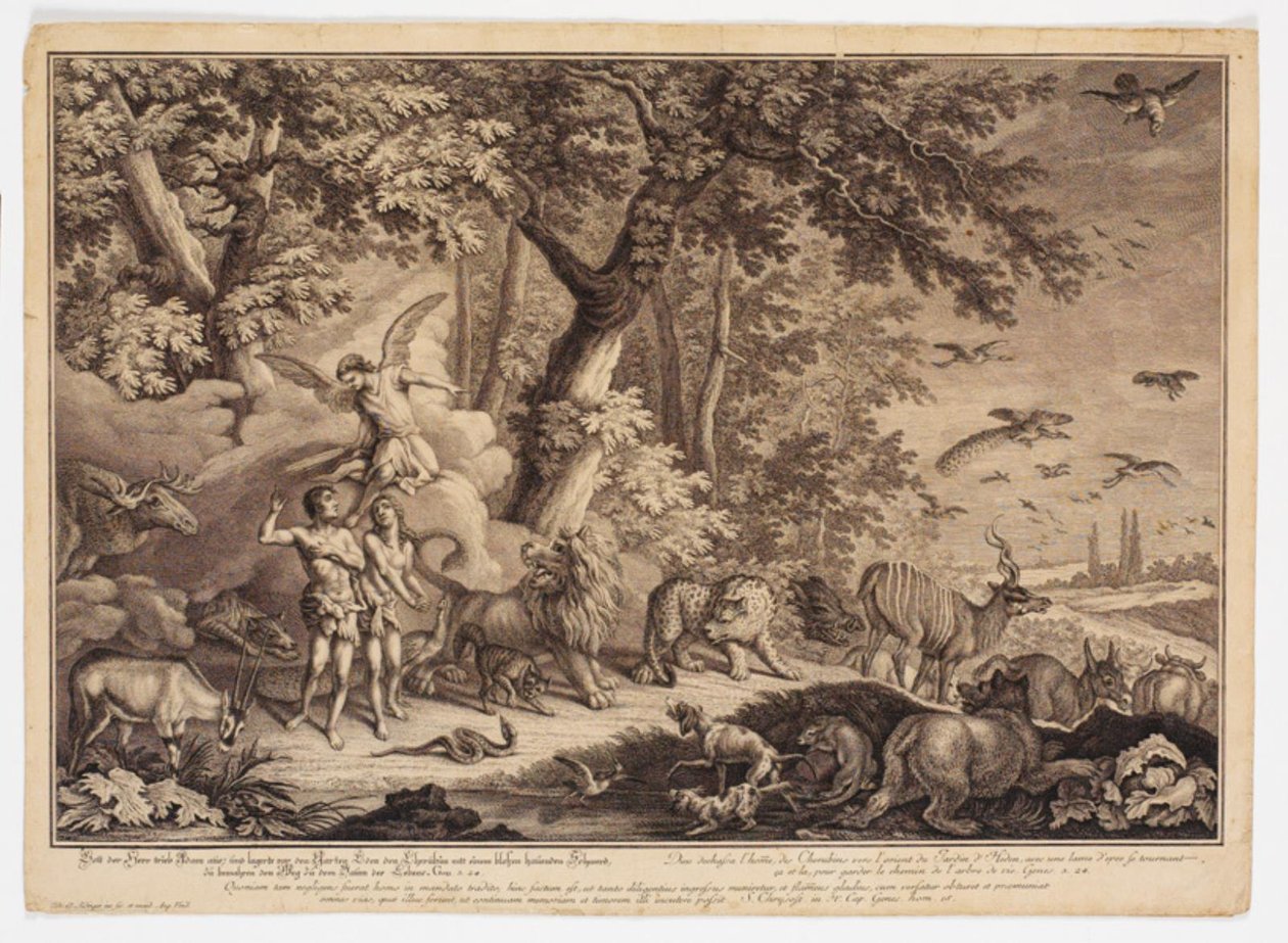 Utvisningen fra paradis av Johann Elias Ridinger