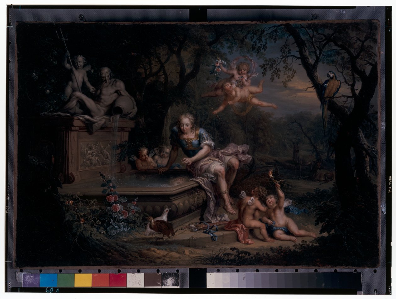 Narcissus reflektert i en brønn av Johann Georg Platzer