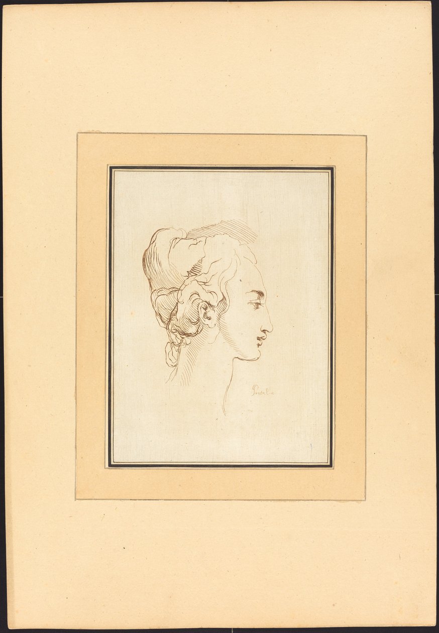 Hodet til en kvinne av Johann Gottlieb Prestel after Guercino