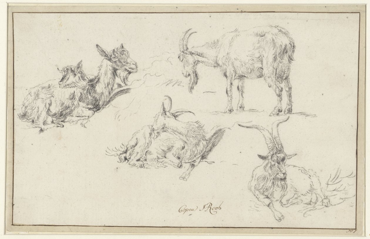 Studier av en geit av Johann Heinrich Roos (possibly)